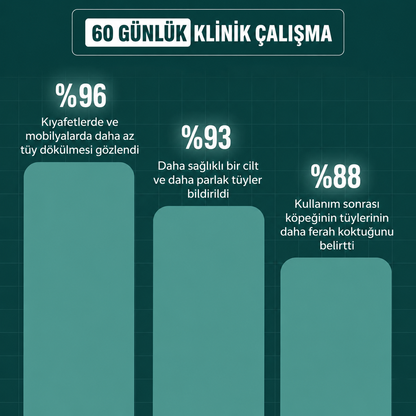 PavLuna™ Buharlı Masaj Etkili Tüy Temizleyici Tarak